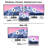 USB-C Dual Display 12-in-1 Multimedia Hub - Pro Series image 6