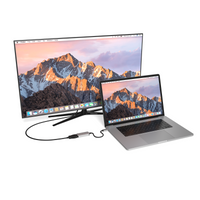 USB-C to DisplayPort 4K 60Hz Adapter image 4